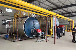 宝龙药业10吨和4吨燃气蒸汽锅炉运行案例