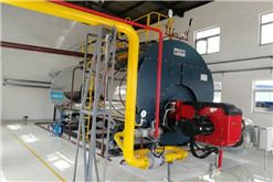 工厂2吨超低氮燃气锅炉项目