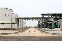 辽宁化工厂10吨燃气冷凝锅炉案例